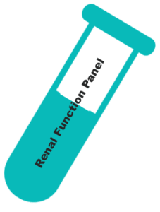 Renal Function Panel